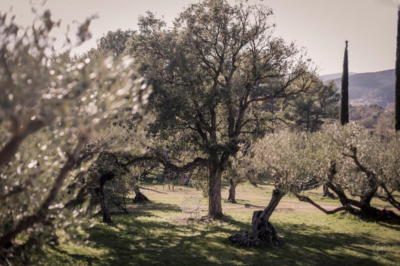 Les Hauts De Diane, Cuers Var Dış mekan fotoğraf